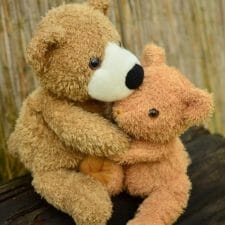 zwei Teddybären