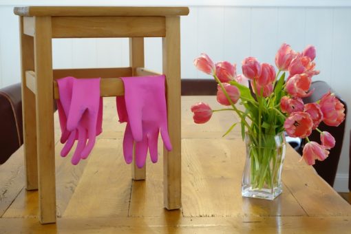 Bild mit hocker, Handschuhen und Tulpen